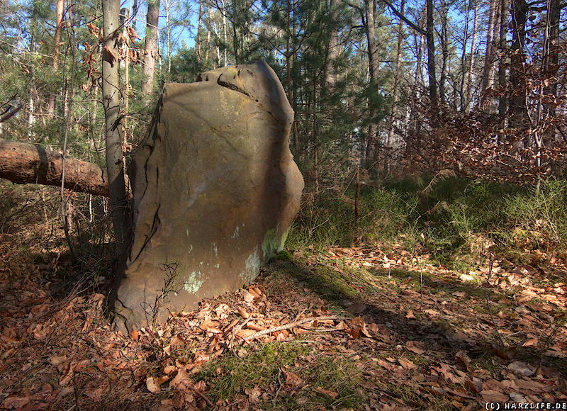 Ein Menhir im Waldgebiet Osterholz