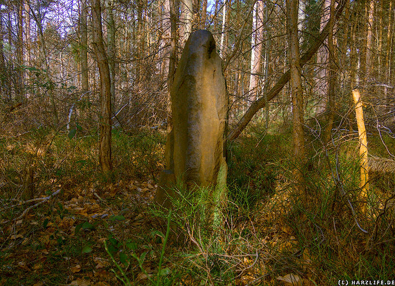 Ein Menhir im Waldgebiet Osterholz