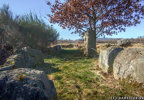 Blick auf das Megalith-Grab