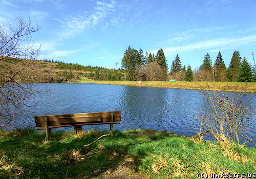 Der Polstertaler Teich